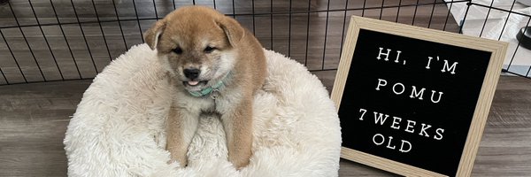 THICCSUCCYNN Profile Banner
