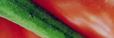 ca_sarabia's profile banner image