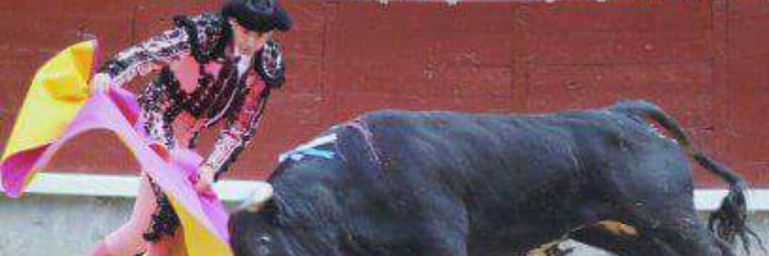 José A Muñoz banner