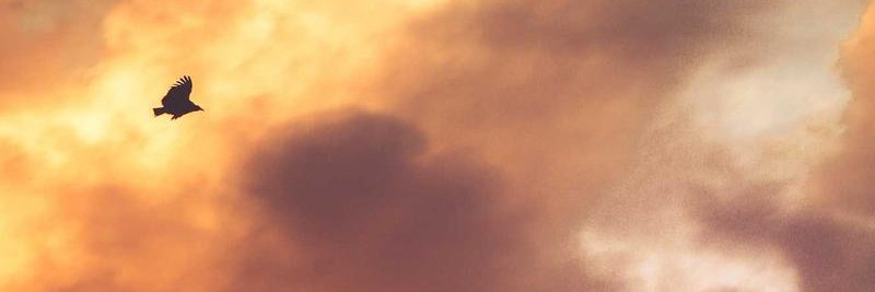 JulioAlejandr49's profile banner image