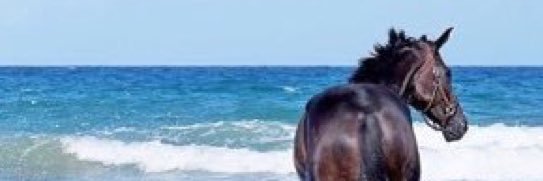estikan89's profile banner image