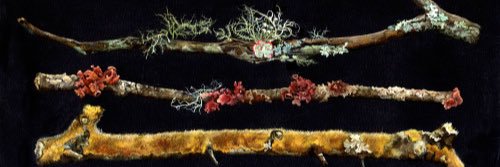 vonCarabas's profile banner image