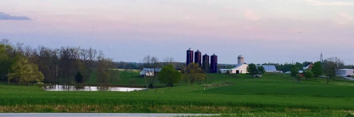 Rhonda Norby banner