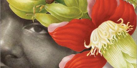 Malika Booker banner