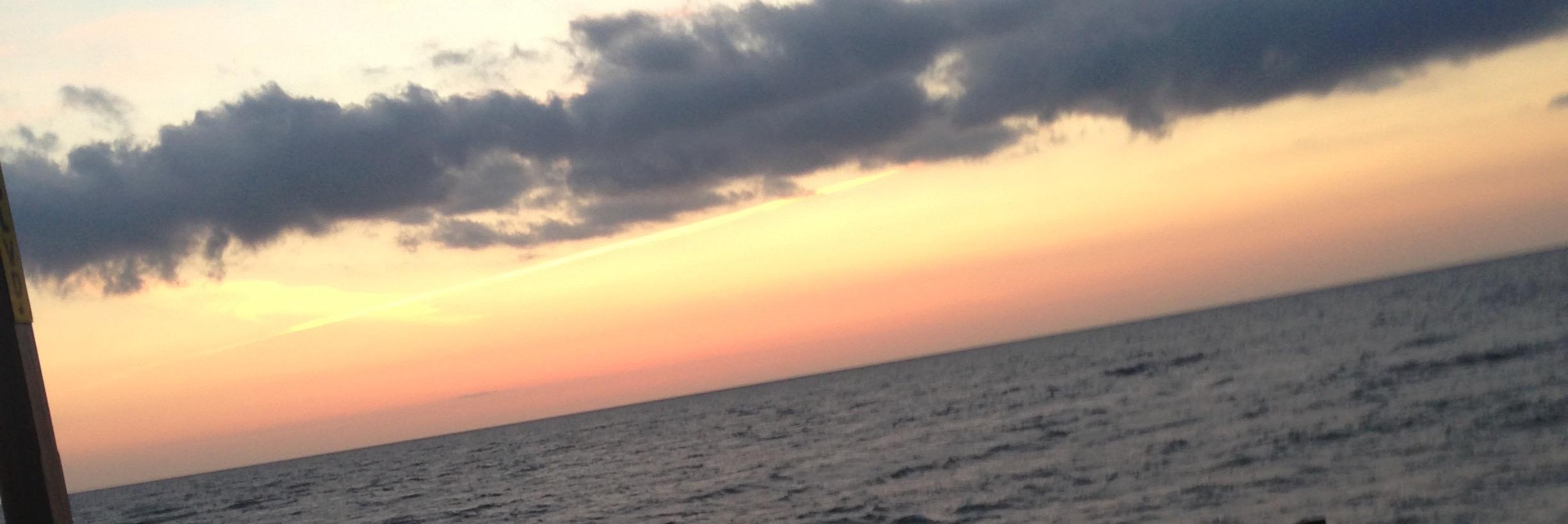 laurenschof's profile banner image