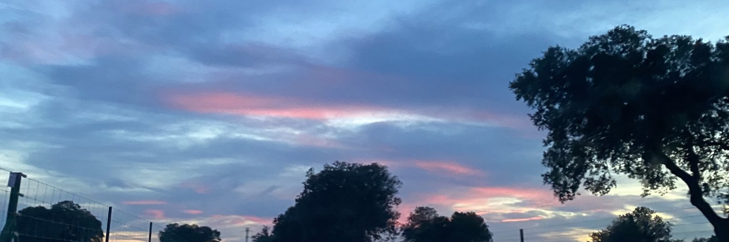 Martusdg14's profile banner image