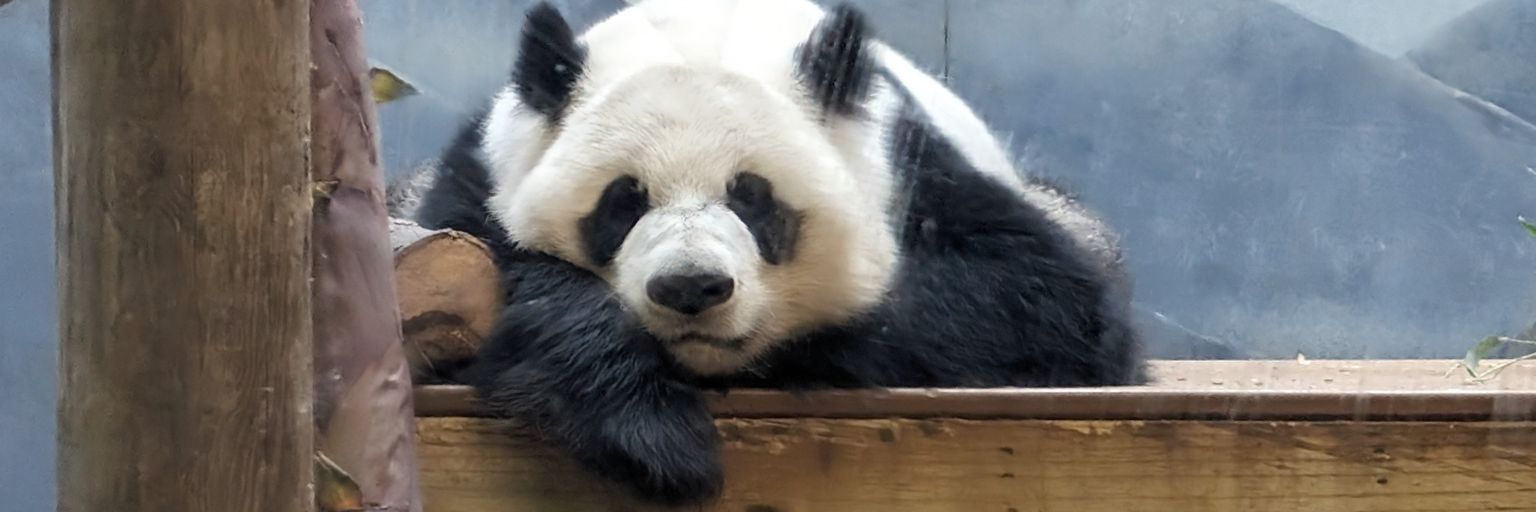 April 🆘🇺🇲 banner