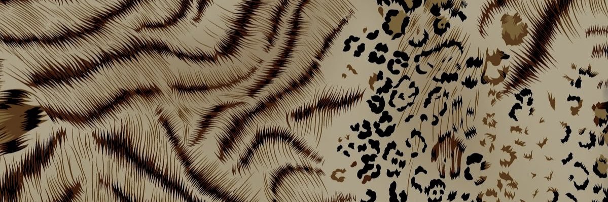 molxjean's profile banner image