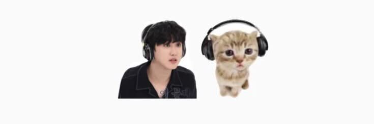ndxaqui's profile banner image