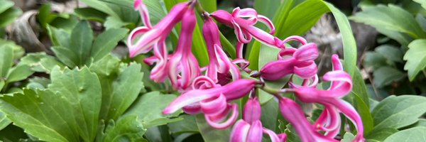 traffic27 Profile Banner