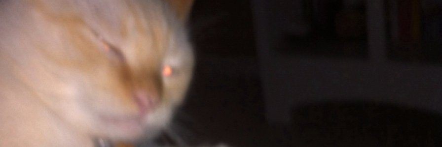 basil banner