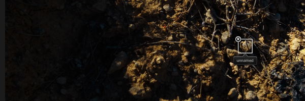 RoachSN Profile Banner