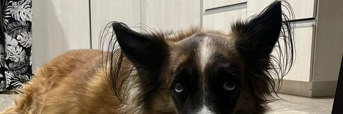 valentinavejar's profile banner image