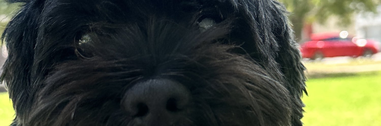 MaferOjeeda's profile banner image