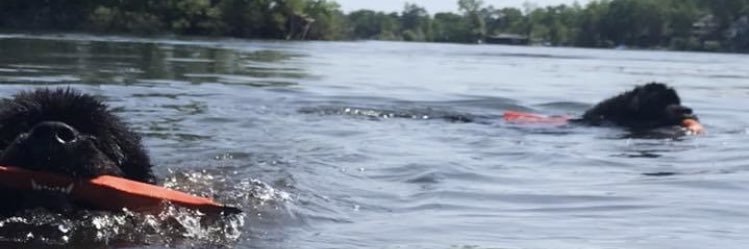 Cschiefer23's profile banner image