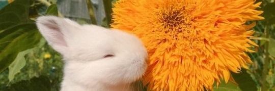 imcalledmarta's profile banner image