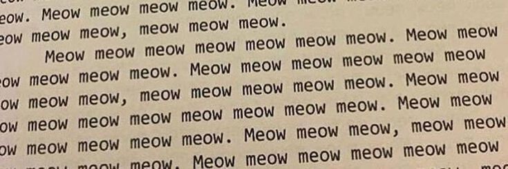 Helen Baranda🌻 banner