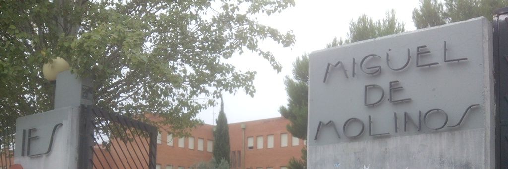 IES MIGUELDEMOLINOS banner
