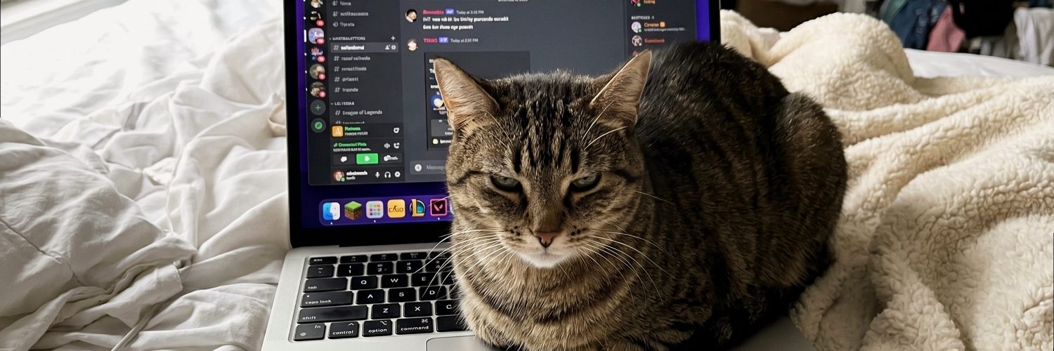 DantheRdz's profile banner image