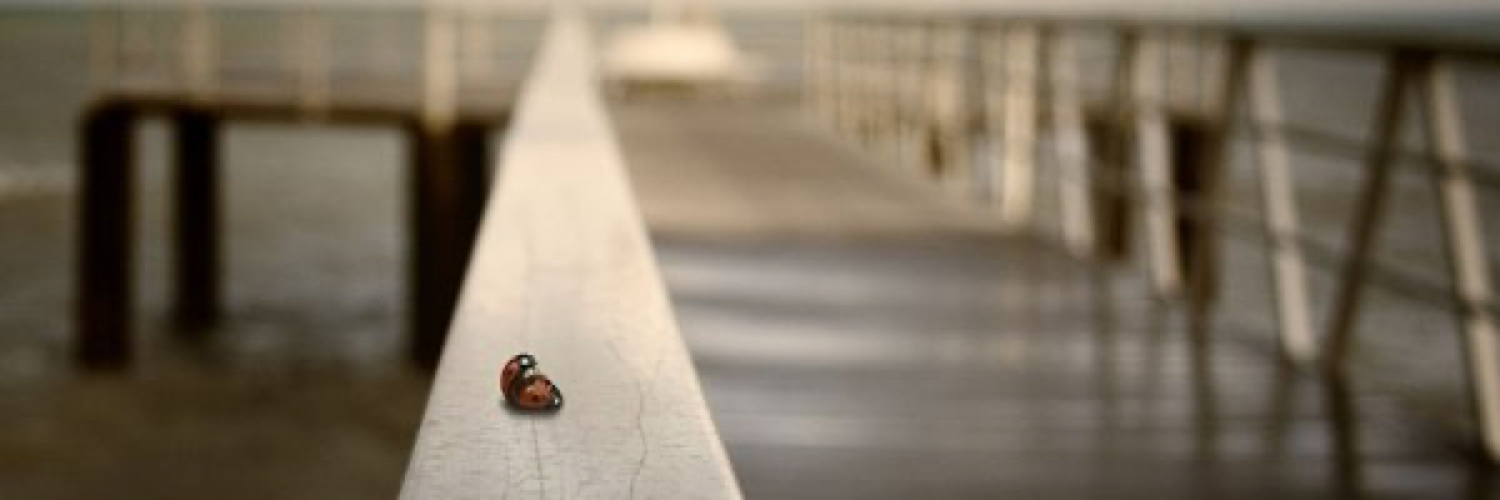 _Joe__King's profile banner image