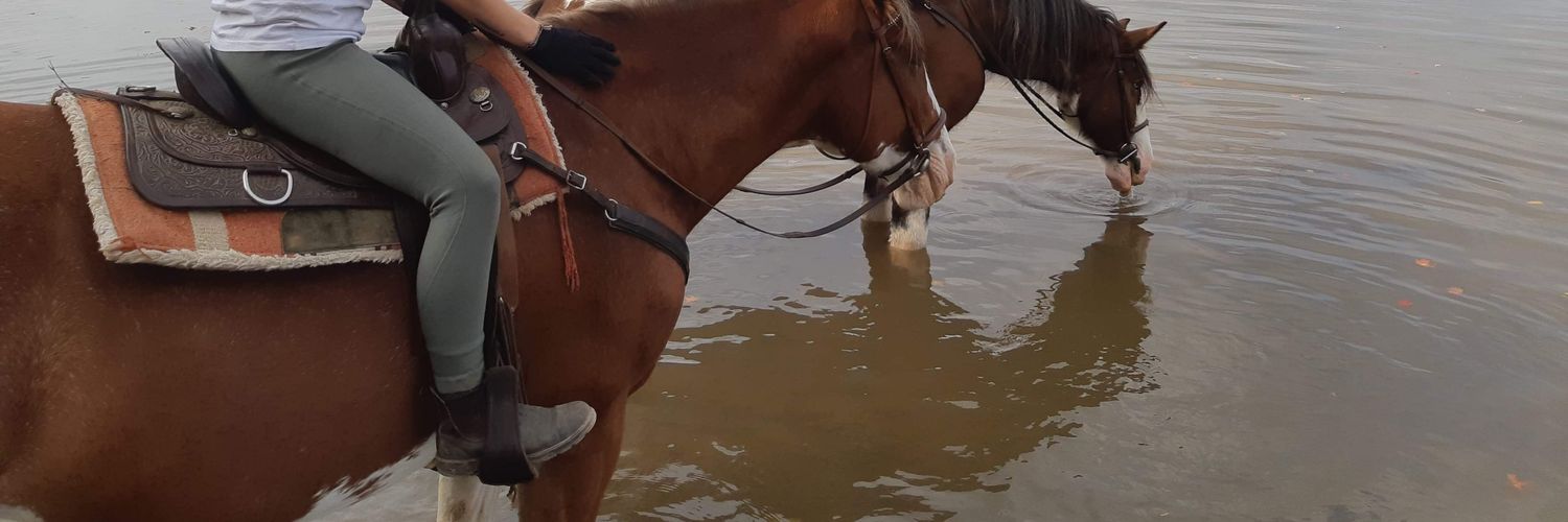 barbarabakerr's profile banner image