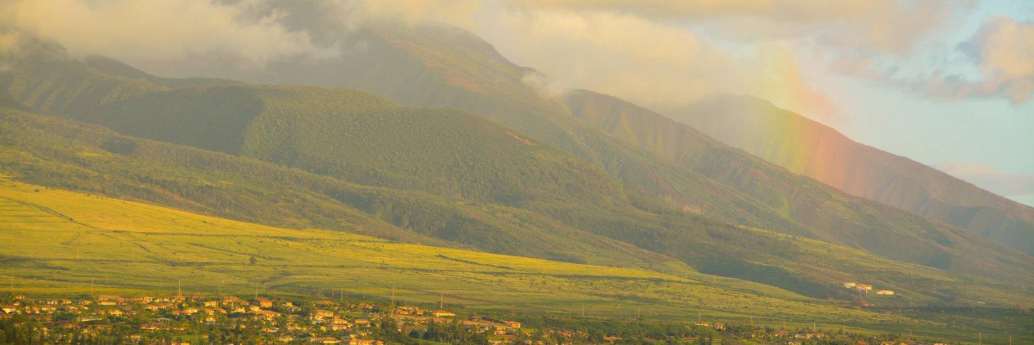 ShaneRiddle's profile banner image