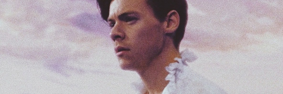 fineharrieline's profile banner image