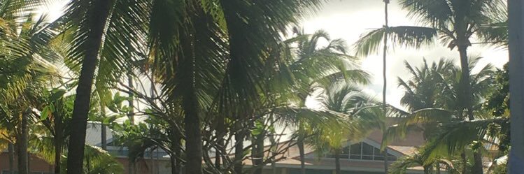 BrittJeanHep's profile banner image