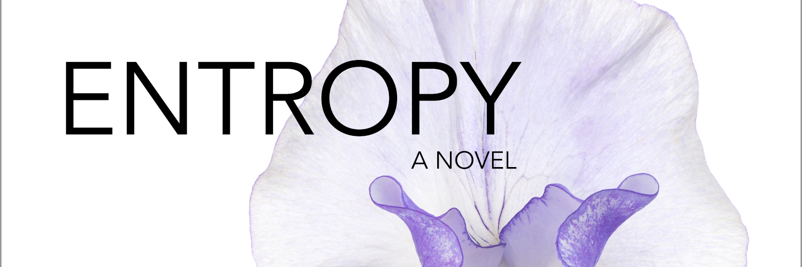 entropy_sir's profile banner image
