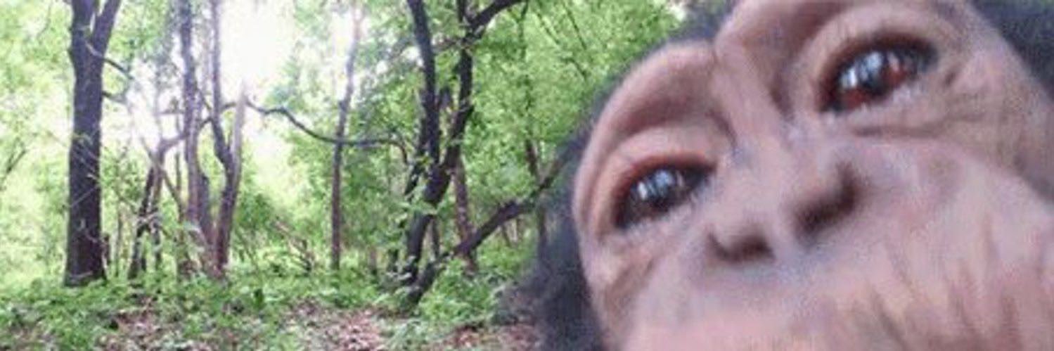 eyechelangelo banner