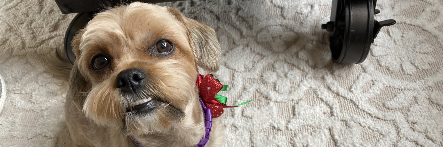 Penny Lane banner