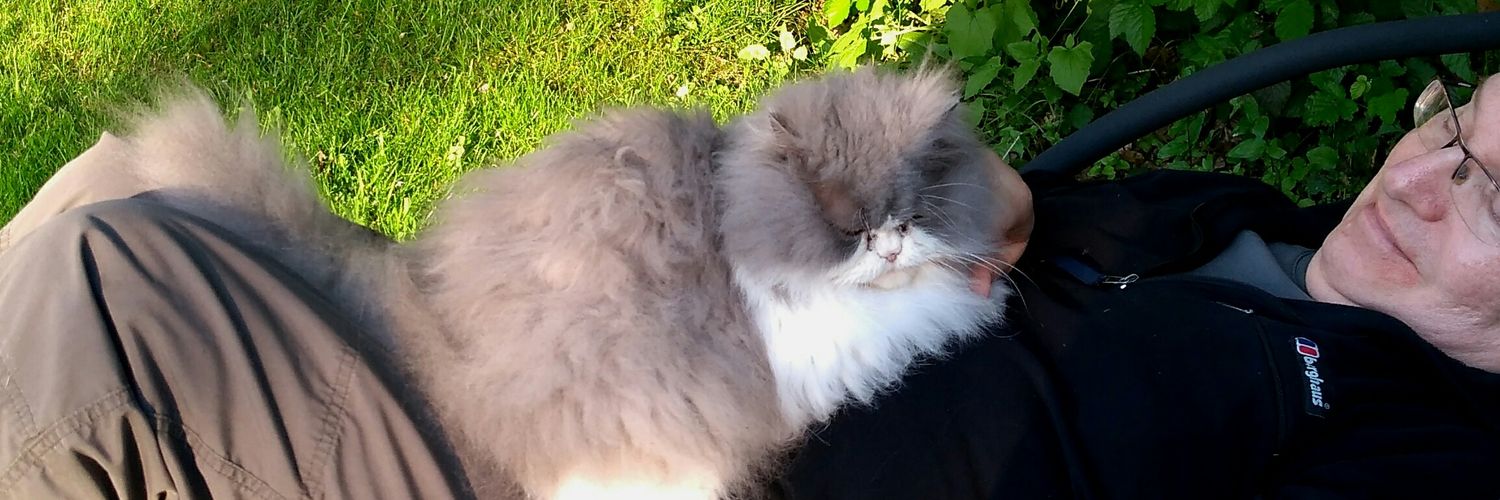 Paul Lund_🇩🇰🇪🇺 Support NHS 💙 Pro-EU banner