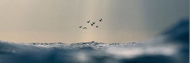 Callita3's profile banner image