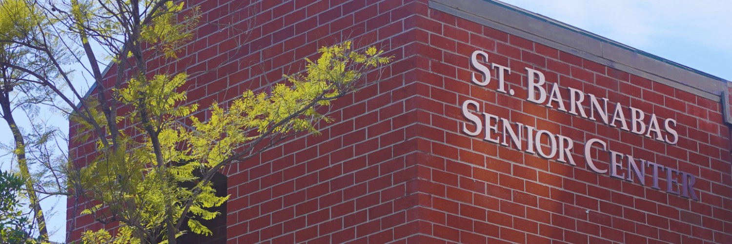 SBSS's banner
