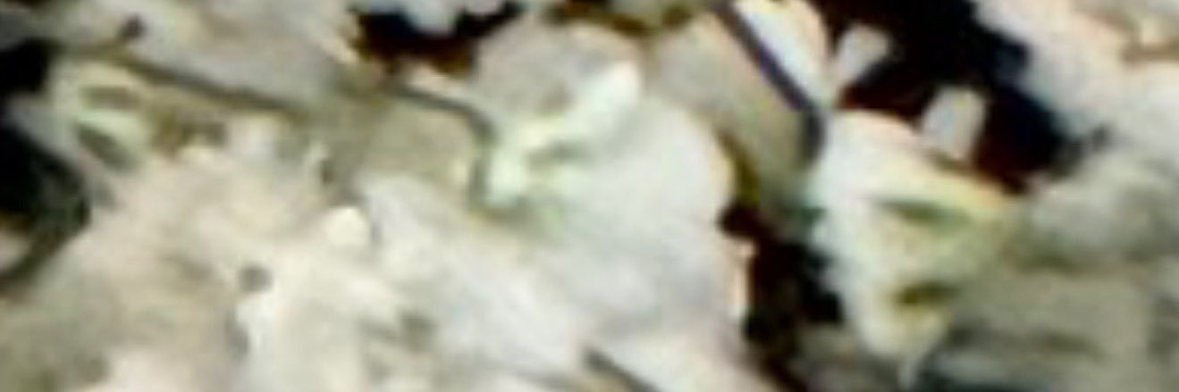 VosCuervo's profile banner image