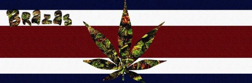 BrazadasCR's profile banner image