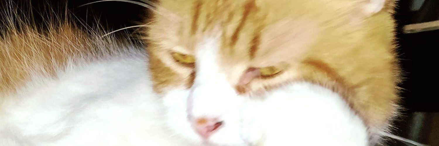 fro_126's profile banner image