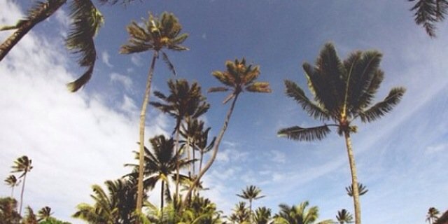 __NNAOMI's profile banner image