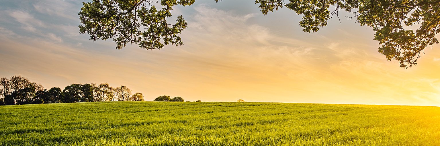 EnvirOx banner