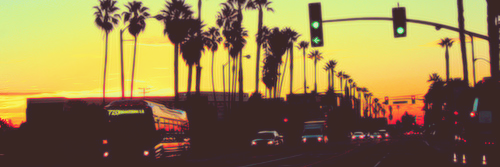 selltherapy's profile banner image