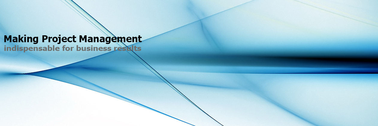 PMI BiH Chapter banner