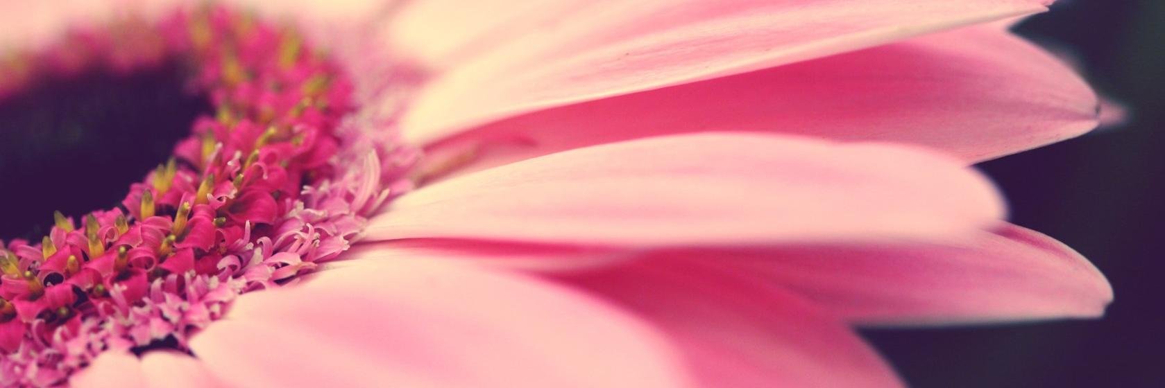 dominguez_inma's profile banner image