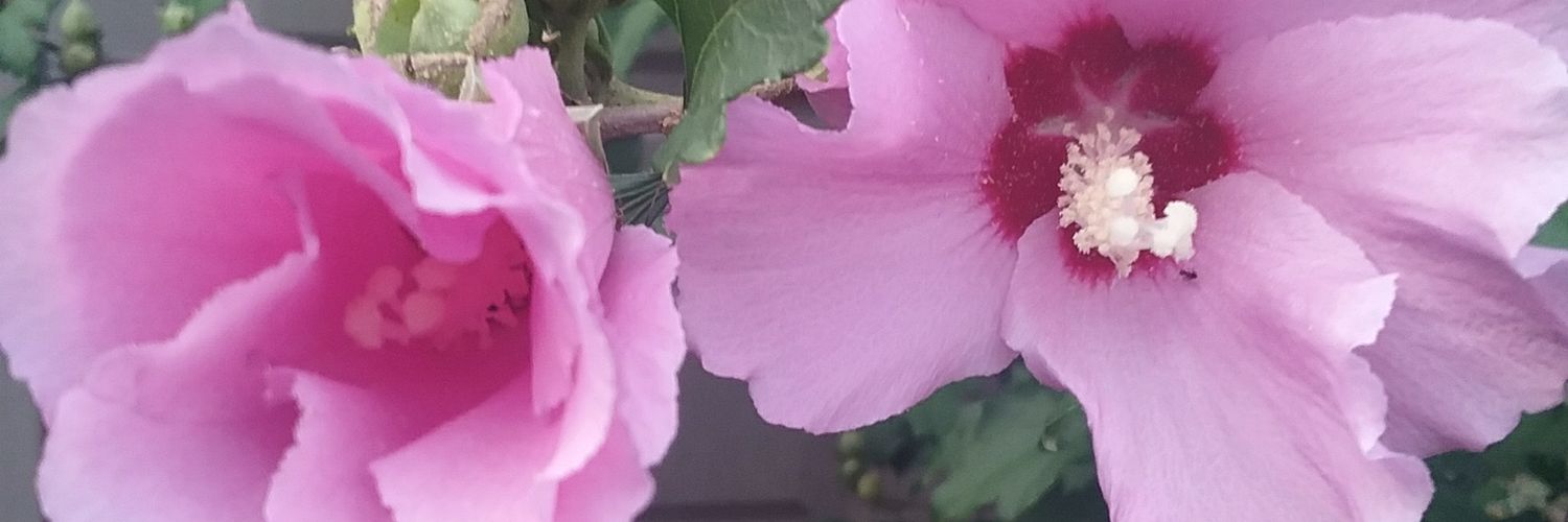 kaw822's profile banner image