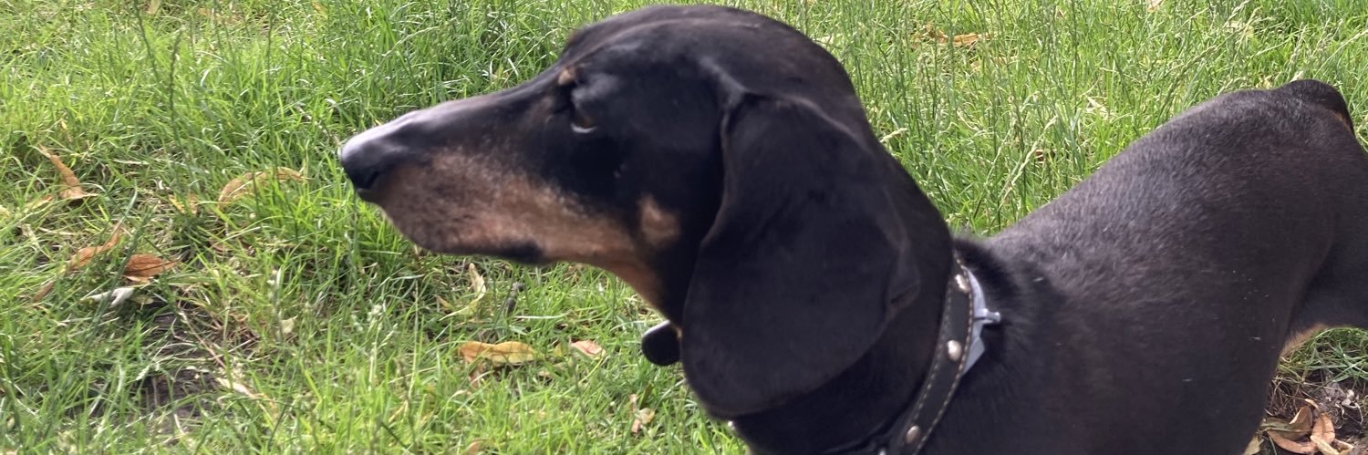 keeverjoe's profile banner image