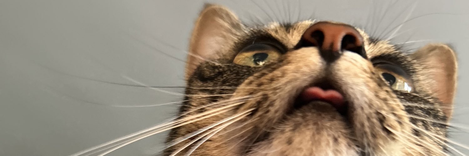 kyliebeau2's profile banner image
