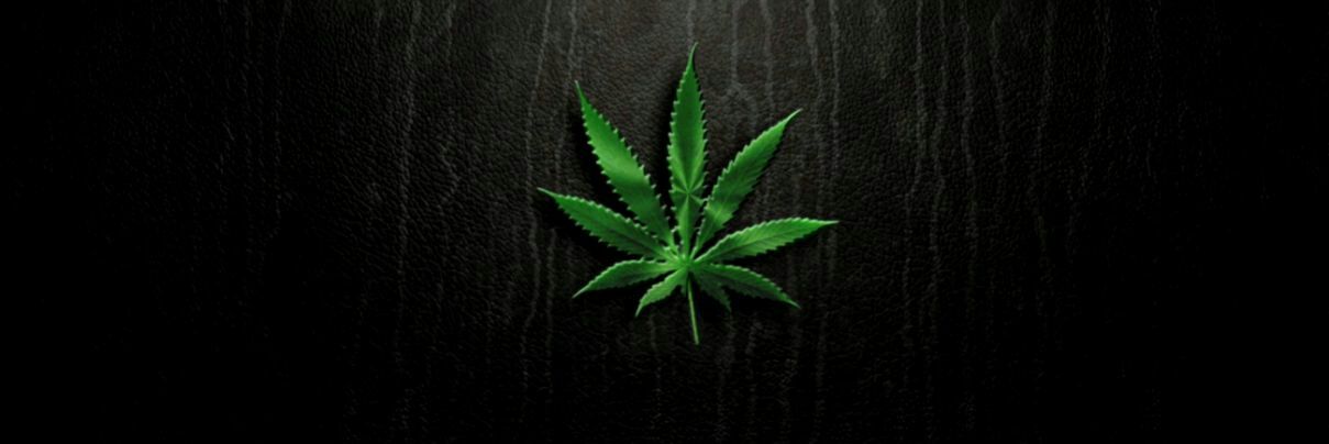 AmorODroga's profile banner image