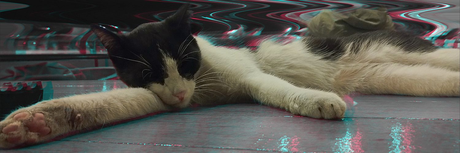 tslmurl's profile banner image