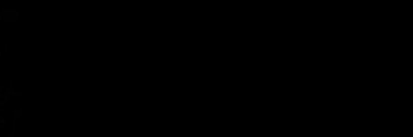 chapter banner