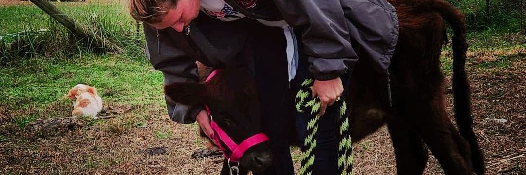 PerfectMessMom's profile banner image