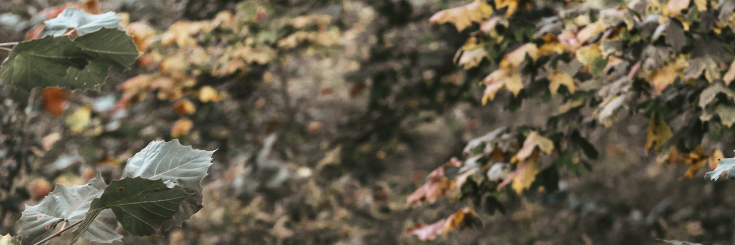 kendcollective's profile banner image